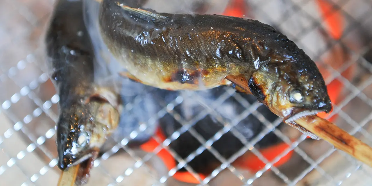 鮎のつかみどりとバーベキュー