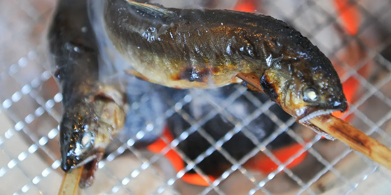 イワナ・ニジマス釣りとバーベキュー