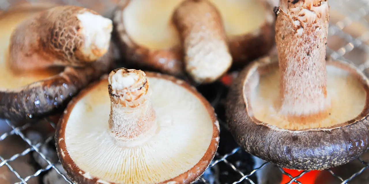 しいたけ狩りとバーベキュー